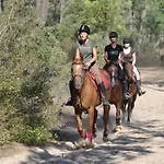 Maison Pour 6 Pers. Proche Foret, Terrasse, Animaux Admis - Fr-1-323-469 Holiday home Saint-Jean-de-Monts