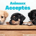 Maison Pour 6 Pers. Proche Foret, Terrasse, Animaux Admis - Fr-1-323-469