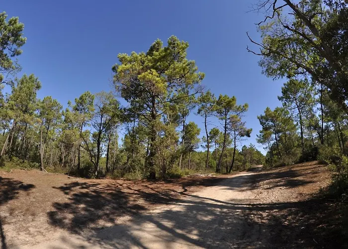 Maison Pour 6 Pers. Proche Forêt, Terrasse, Animaux Admis - Fr-1-323-469 Hébergement de vacances