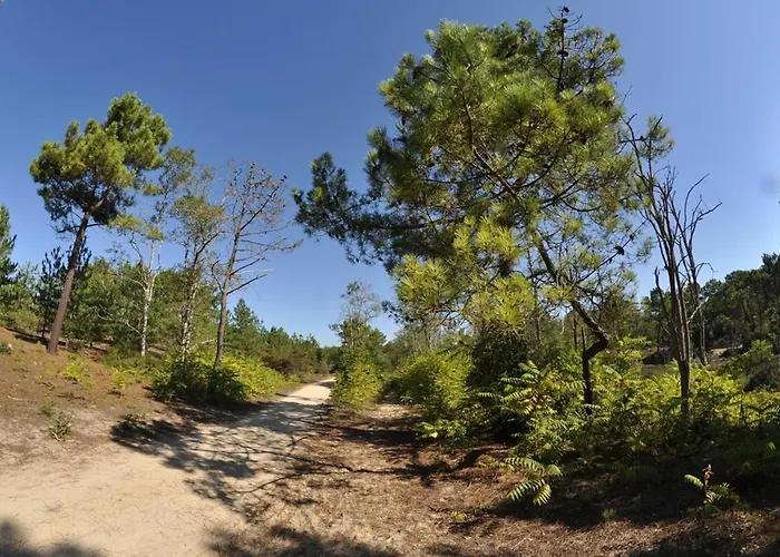 Maison Pour 6 Pers. Proche Forêt, Terrasse, Animaux Admis - Fr-1-323-469 Hébergement de vacances *