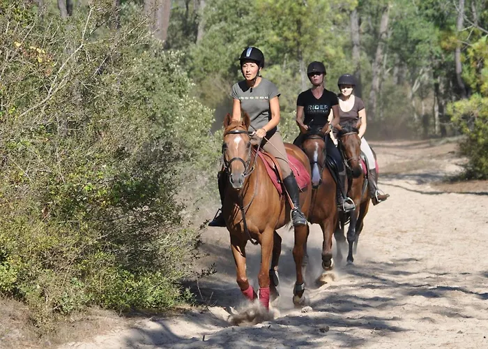 Maison Pour 6 Pers. Proche Forêt, Terrasse, Animaux Admis - Fr-1-323-469 Hébergement de vacances Saint-Jean-de-Monts